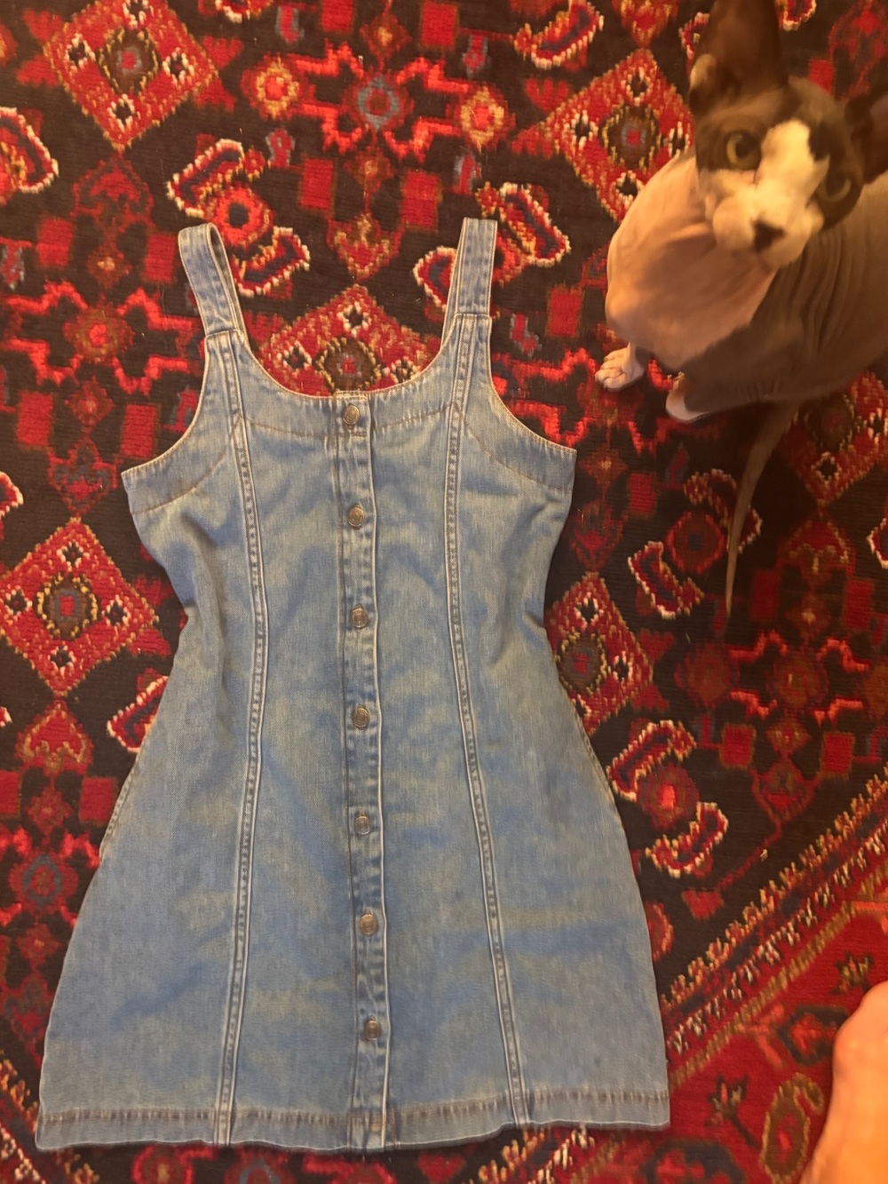 Blue Denim Button-Front Dress (w pockets!)